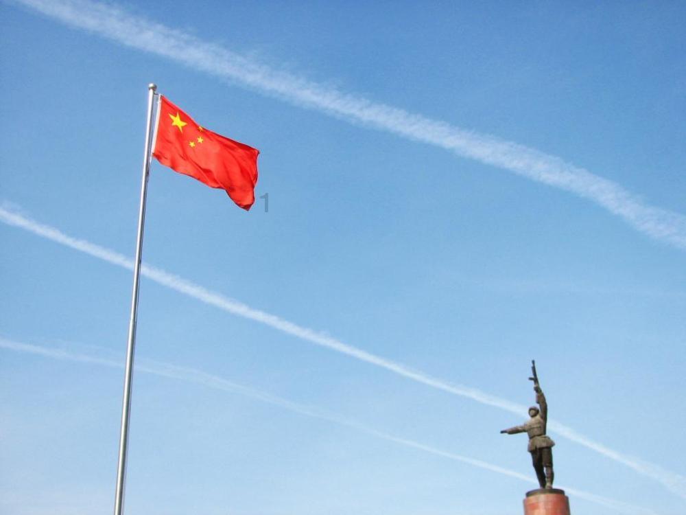 漂亮鹦鹉救援